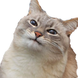Lumpus